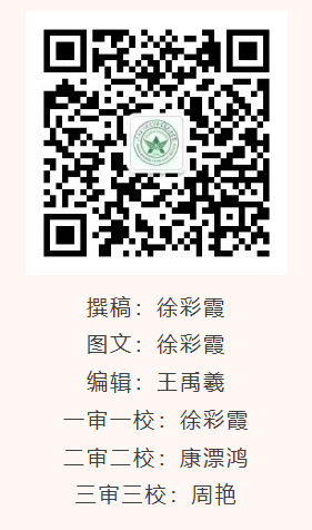 1764732708912230.png image.png