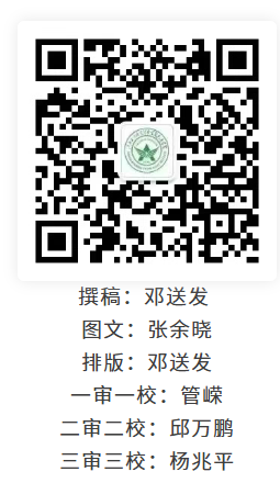 1765707719109434.png image.png